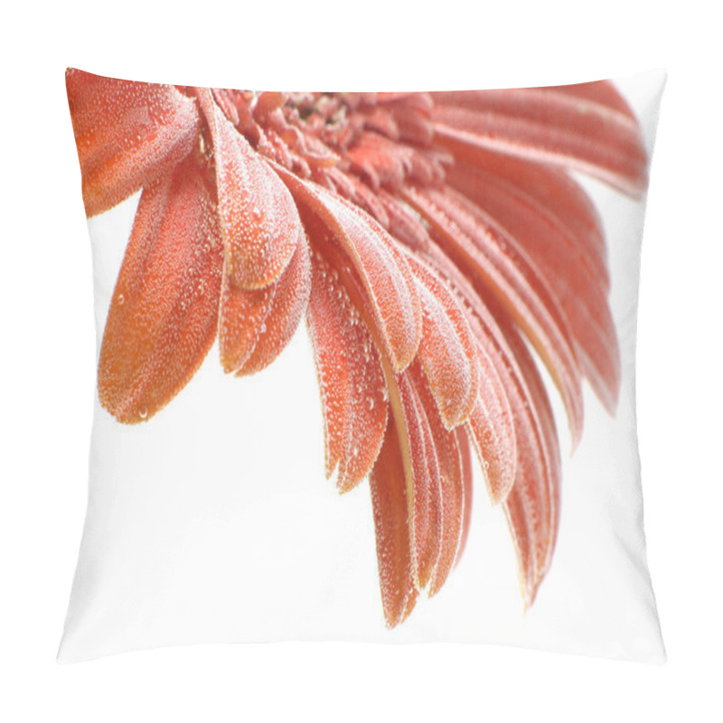 Personality  Orange Gerber Daisy Pillow Covers