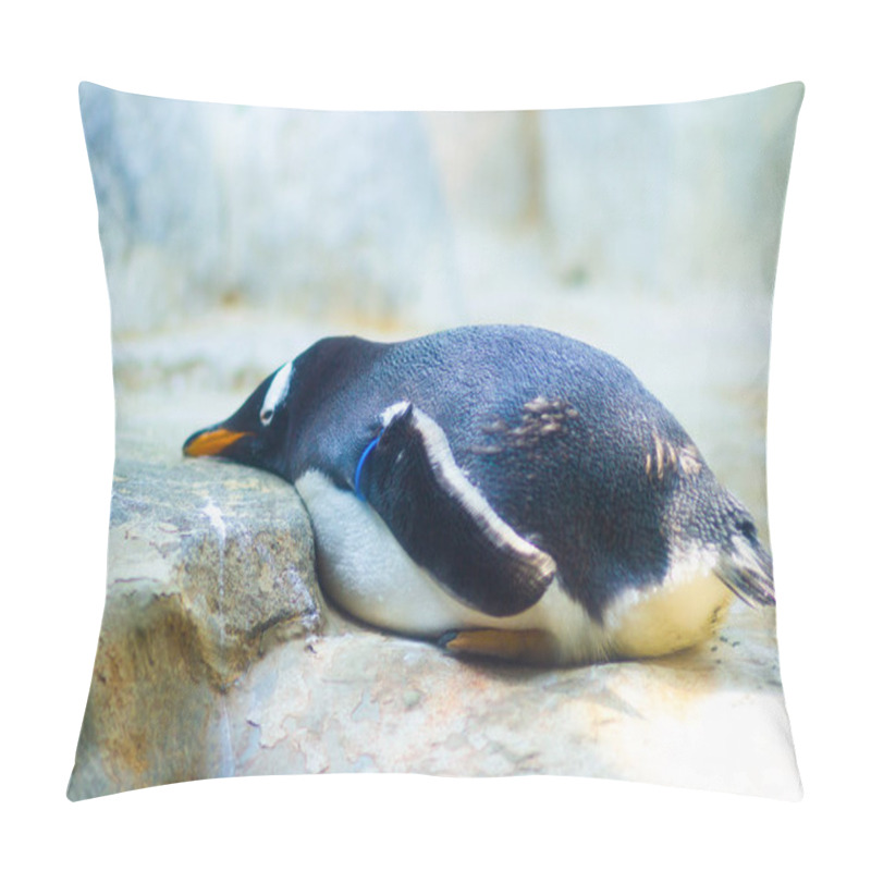 Personality  Terrestrial Representatives Of The Fauna Of Tropical Forests And Steppes Exotic Animals And Birds Pillow Covers