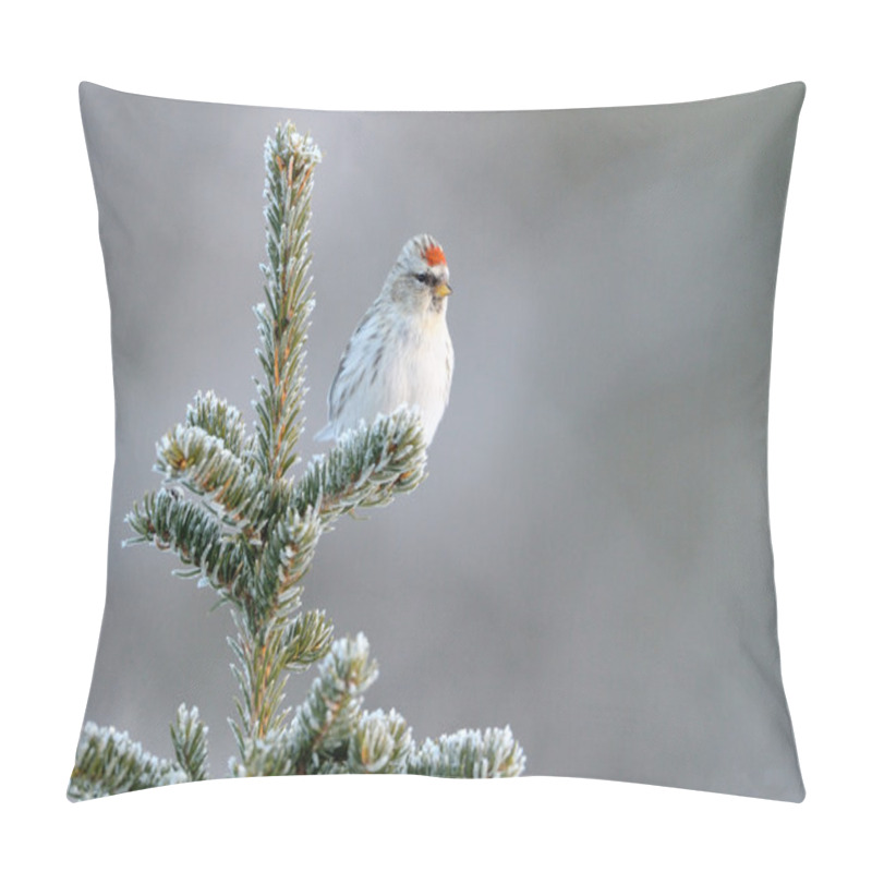 Personality  Redpoll Pillow Covers