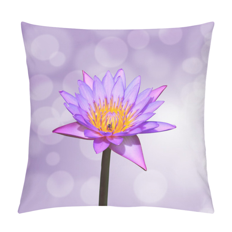 Personality  Lotus Or Water Lily Flower Pillow Covers