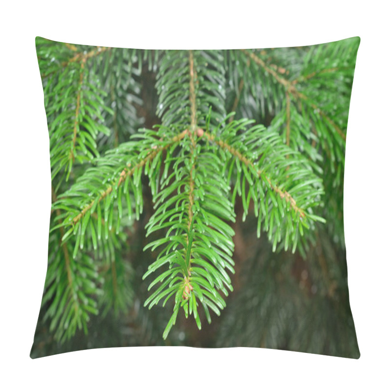 Personality  Green Pine Branch In Spring Pillow Covers