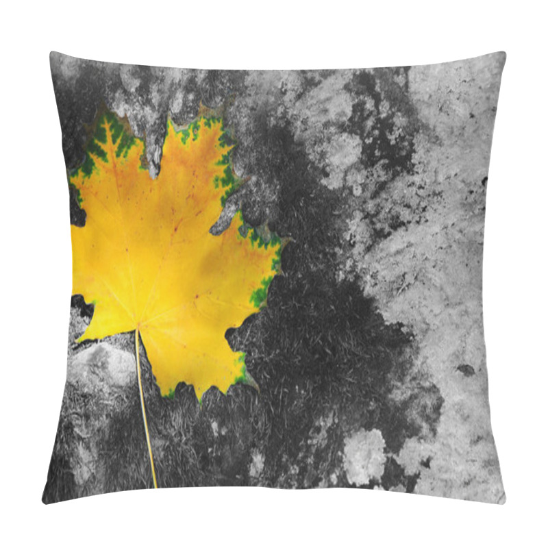 Personality  Yellow Autumn Maple Leaf Isolated On A Gray Background. Pillow Covers