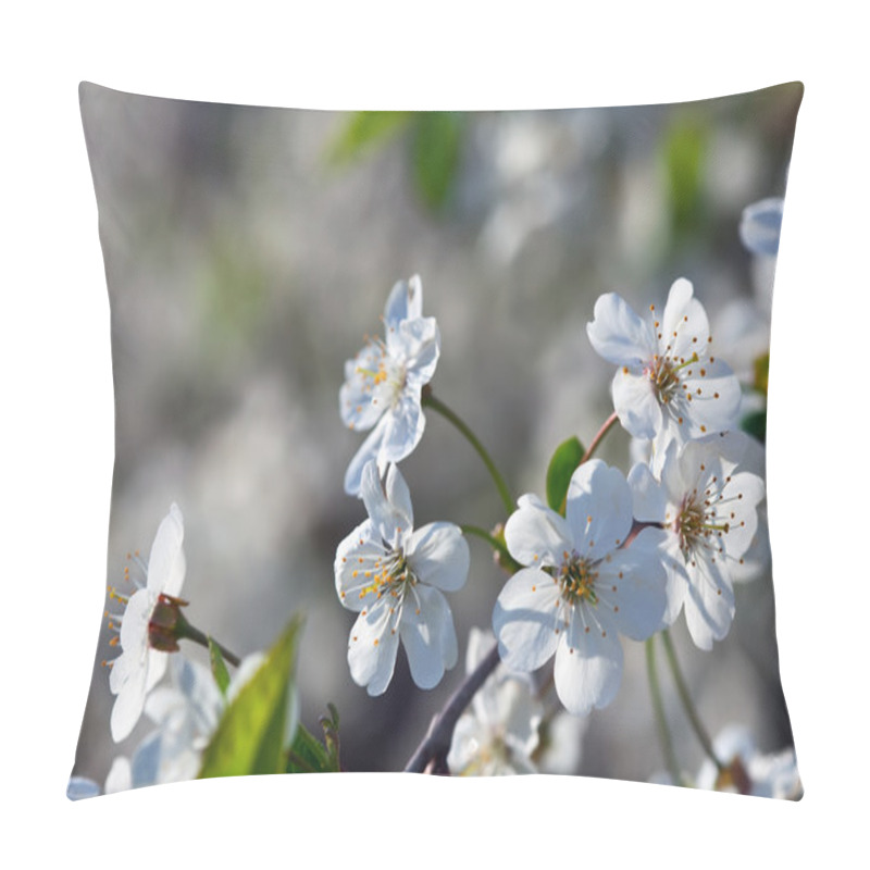 Personality  Blooms Tree Branch In Spring Pillow Covers