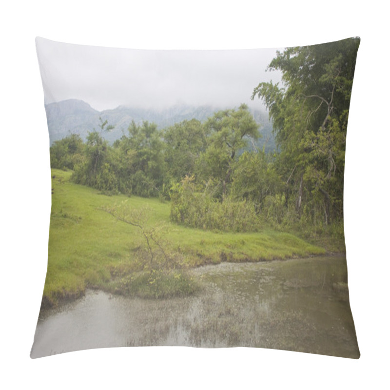 Personality  Mudumalai National Park Pillow Covers