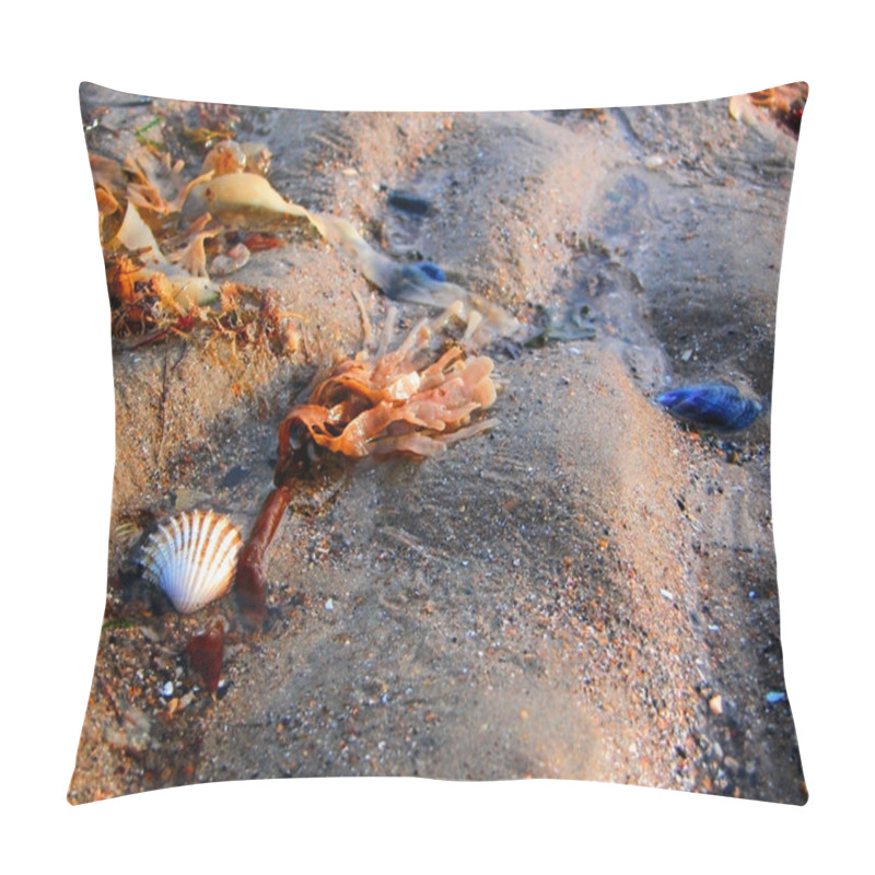 Personality  Seabed Pillow Covers