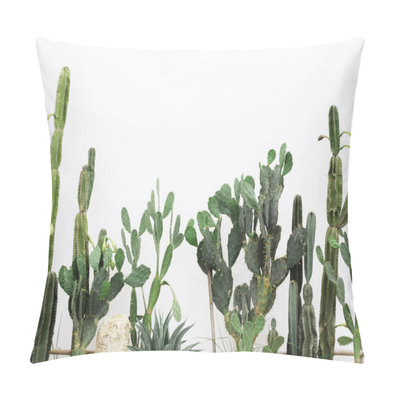 Personality  Various Growing Green Cactus Plant In Cactus Garden On White Background. Pillow Covers