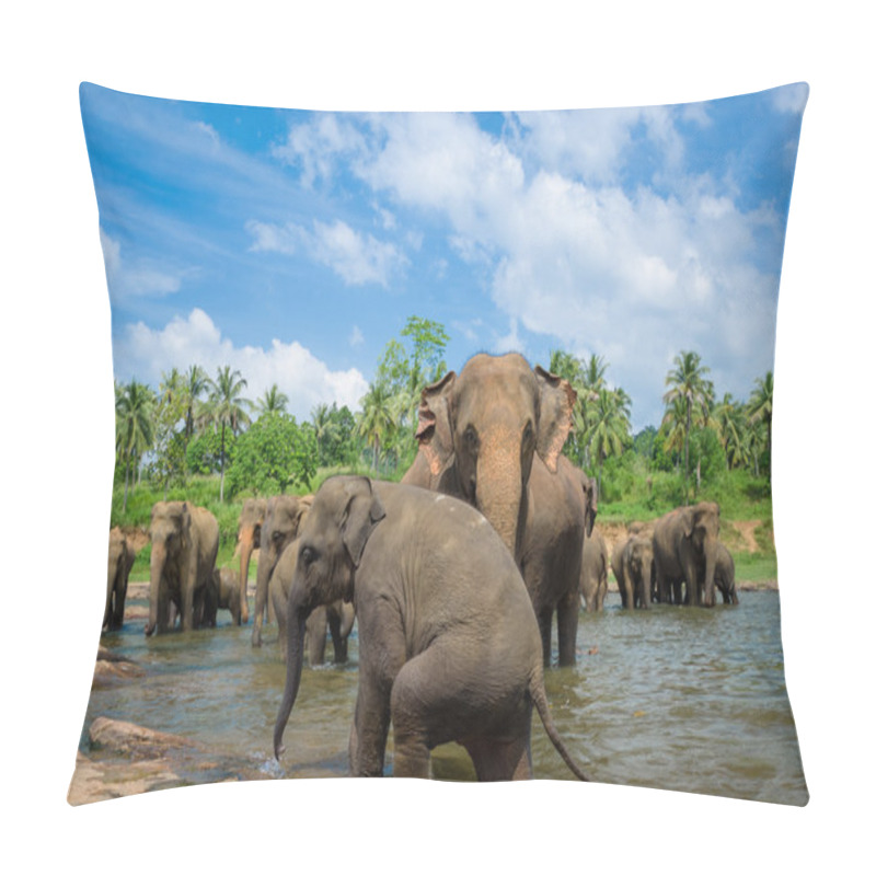 Personality  Elephants In The Beautiful River Landscape Pillow Covers