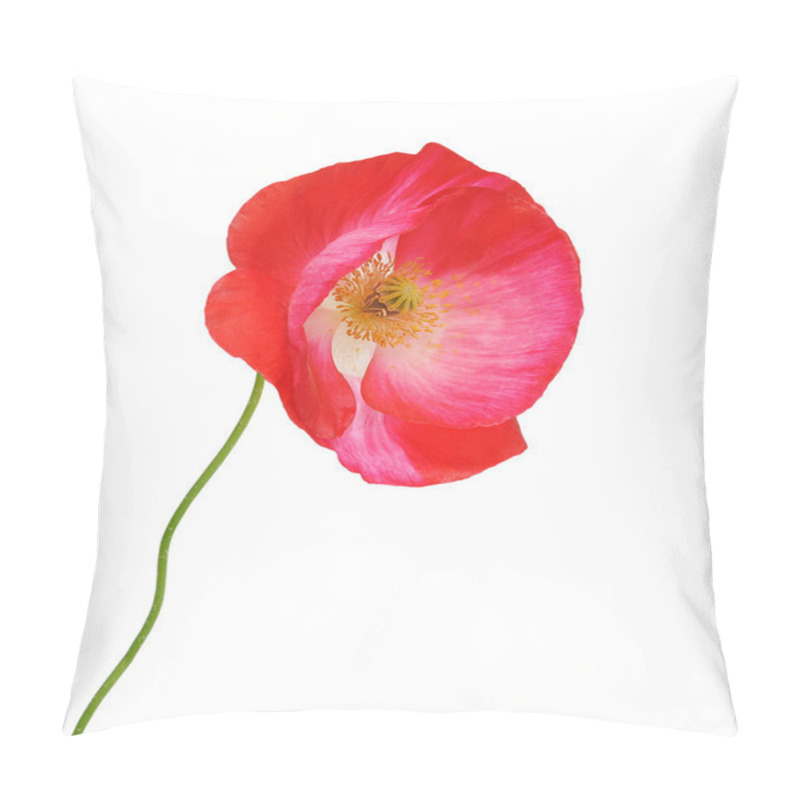 Personality  Poppy Beautiful Flowers Pillow Covers