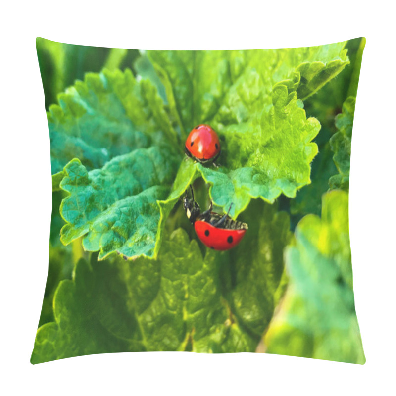 Personality   Lady Bugs On A Leaf On Springtime Pillow Covers