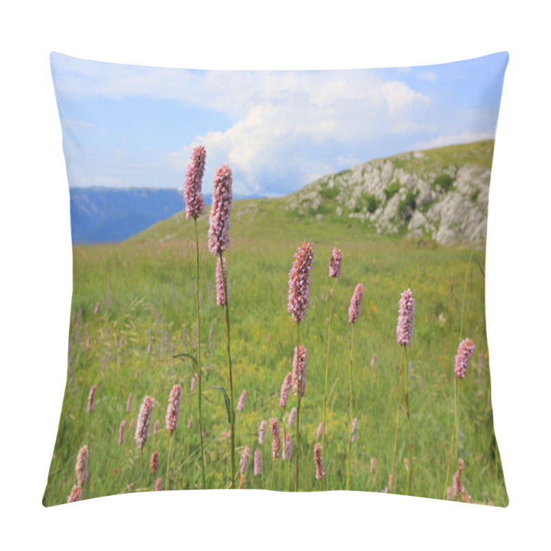 Personality  Wild Flowers In Mountains Pillow Covers