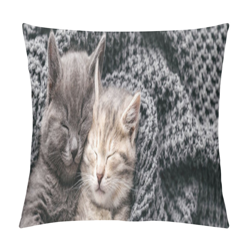 Personality  Couple Kittens In Love Sleep Nap On Soft Knitted Gray Blanket. Portrait Cats Rest In Bed. Feline Love Hug Friendship On Valentine Day. Pets Animal Sleep At Cozy Home. Long Web Banner Copy Space. Pillow Covers