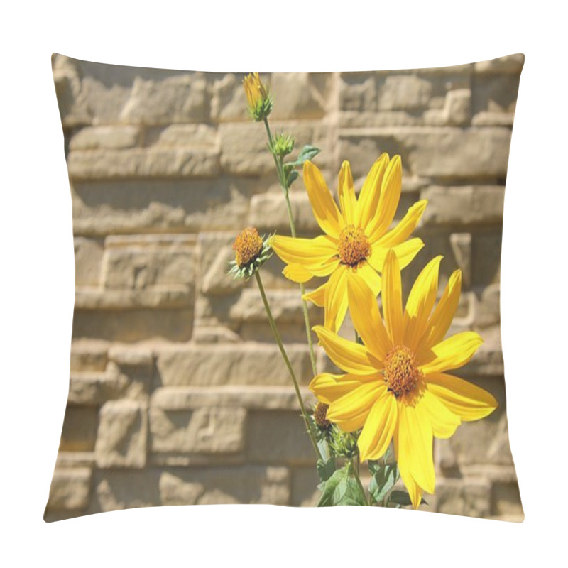 Personality  Flowers In Front Of A Wall Pillow Covers