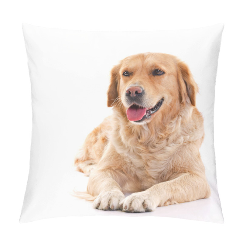 Personality  Golden Retriever Pillow Covers