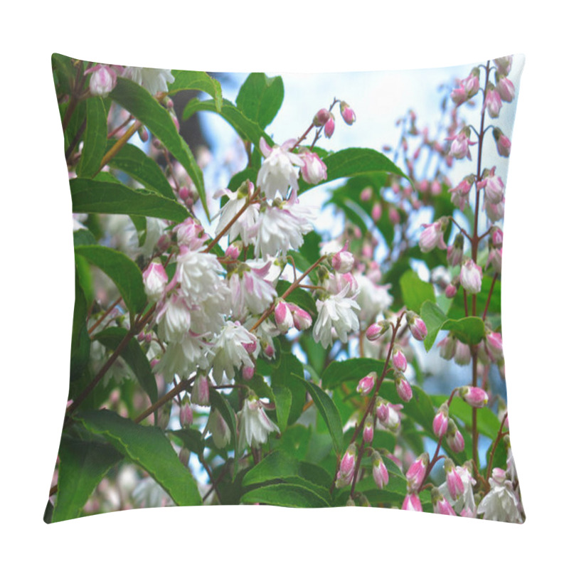 Personality  Beautiful Shrub Deutzia Blooms In The Spring Garden Pink Small Flowers Pillow Covers