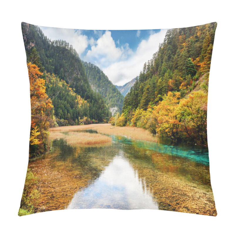 Personality  Crystal Clear Water Of River Among Fall Woods In Mountain Gorge Pillow Covers