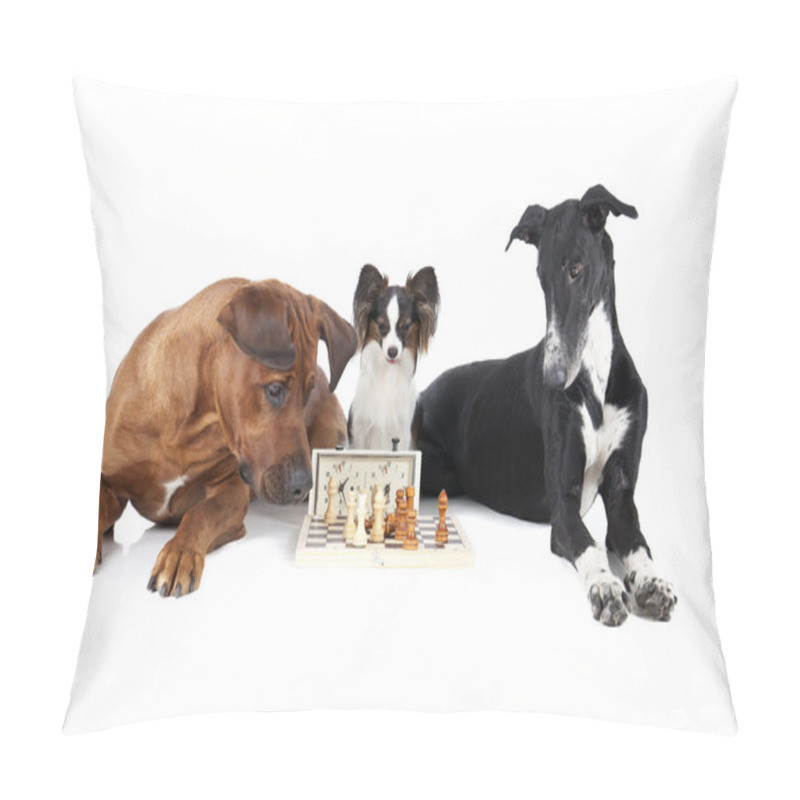 Personality  Three Dogs Playing Chess Pillow Covers