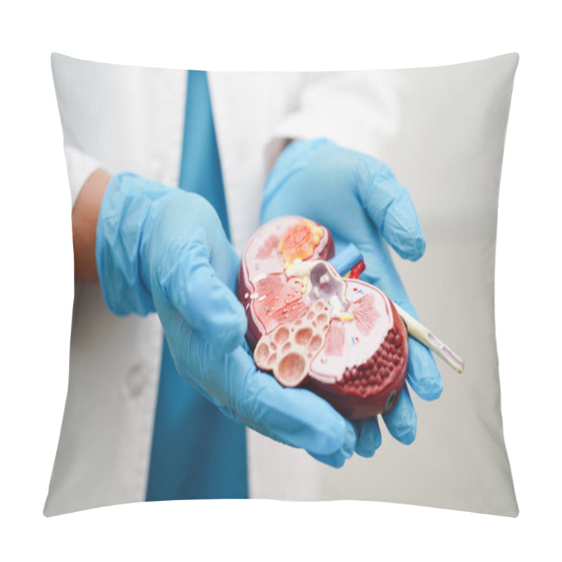 Personality  Chronic Kidney Disease, Doctor Holding Model For Treatment Urinary System, Urology, Estimated Glomerular Filtration Rate EGFR. Pillow Covers