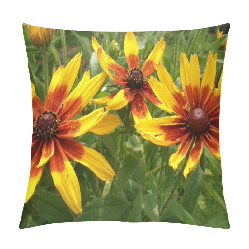 Personality  Blooming Rudbeckia (Black-eyed Susan Flower) Pillow Covers