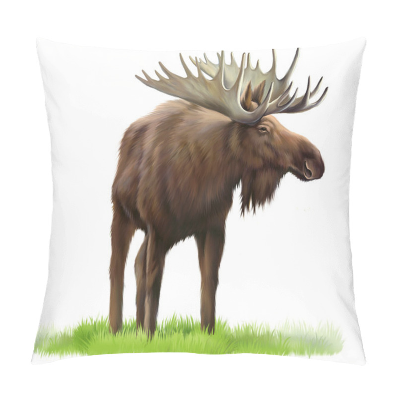 Personality  Moose On A Grass Pillow Covers