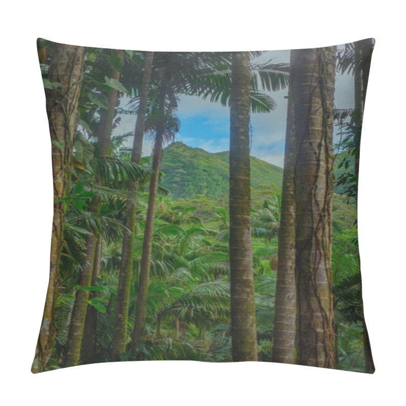 Personality  Tropical Rainforest Jungle With Mountain In The Background In Ha Pillow Covers