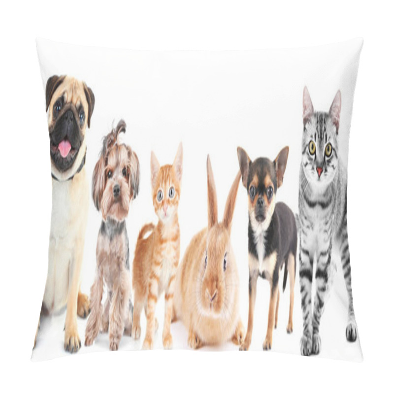 Personality  Cute Friendly Pets Pillow Covers