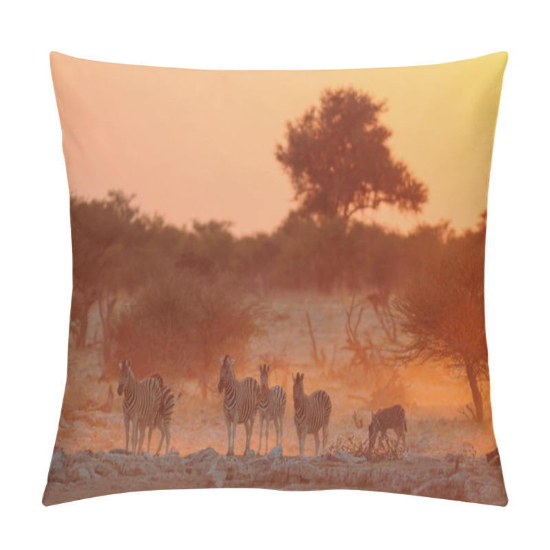 Personality  Burchell's Zebra Herd At Sunset Pillow Covers