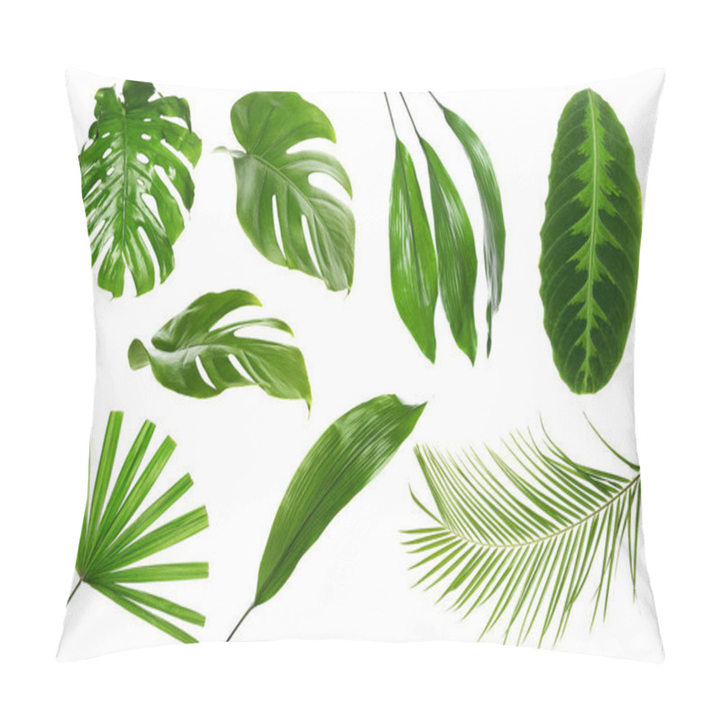 Personality  Different Green Tropical Leaves On White Background Pillow Covers