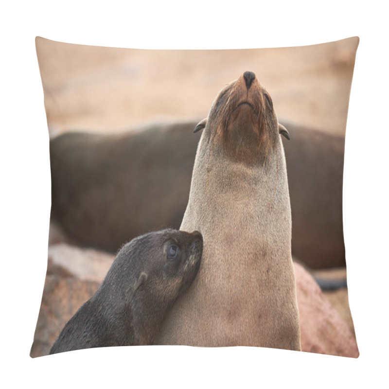 Personality  Cape Fur Seals (Arctocephalus Pusillus), Cape Cross Namibia Pillow Covers