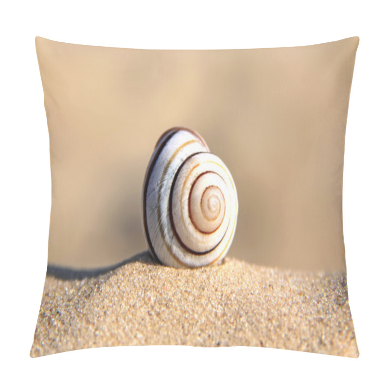 Personality  Spiral Shell Pillow Covers