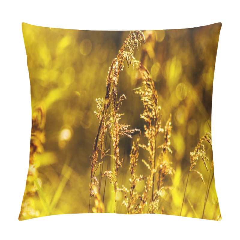 Personality  Various Wildflowers And Herbs. Pillow Covers