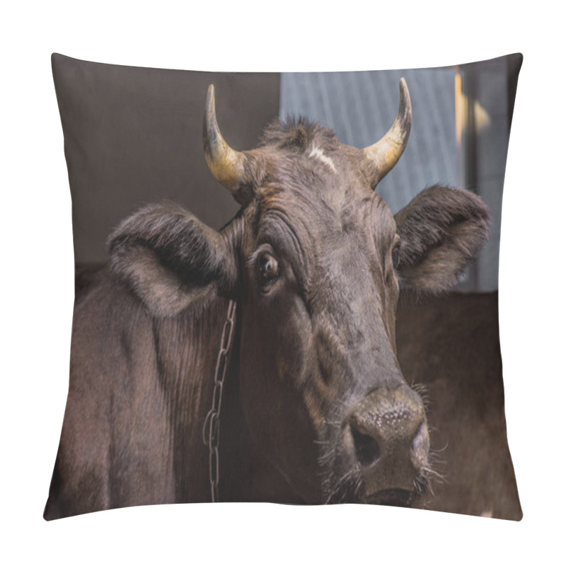 Personality  Brown Cow In Stall Pillow Covers