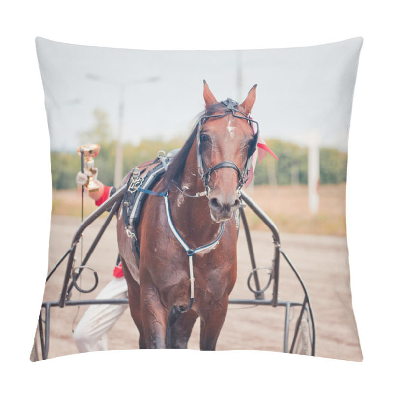 Personality  Racing For The Horses Trotting Breeds Pillow Covers