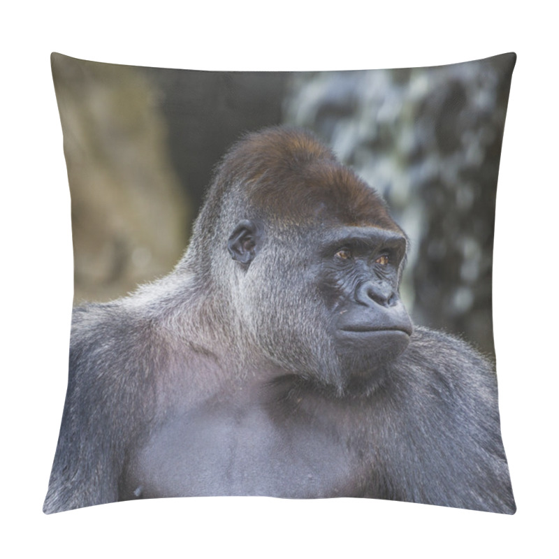 Personality  A Western Lowland Female Gorilla Standing Facing Forward Pillow Covers