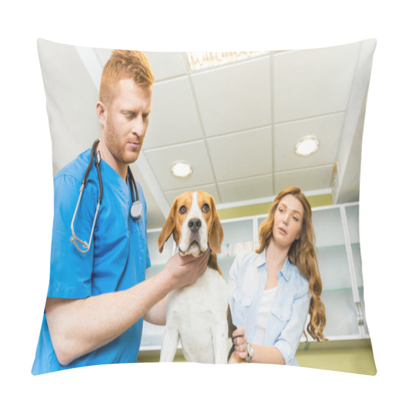 Personality  Doctor Examining Beagle Dog At Clinic Pillow Covers