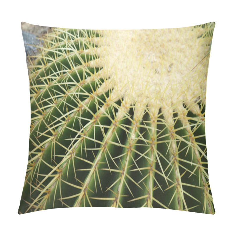 Personality  Cactus Pillow Covers