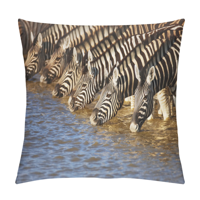 Personality  Zebras Drinking Pillow Covers