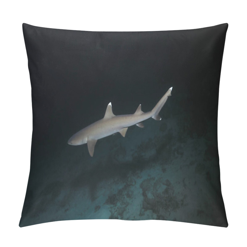 Personality  Whitetip Reef Shark (Triaenodon Obesus) Hunting In The Night Underwater In The Great Barrier Reef Of Australia  Pillow Covers