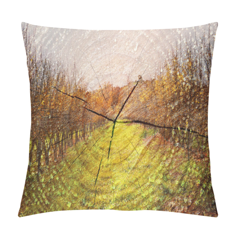 Personality  Double Exposure Of Trees At Woods And Cut Tree Trunk. Nature Background Pillow Covers