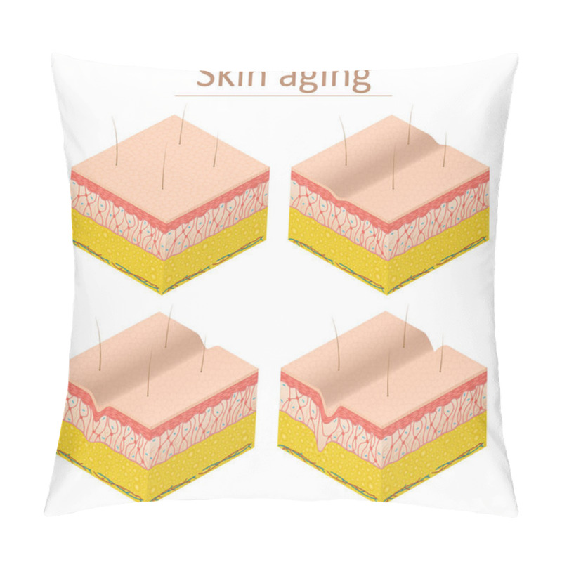 Personality  Skin Aging Set Isometric View. Vector Pillow Covers