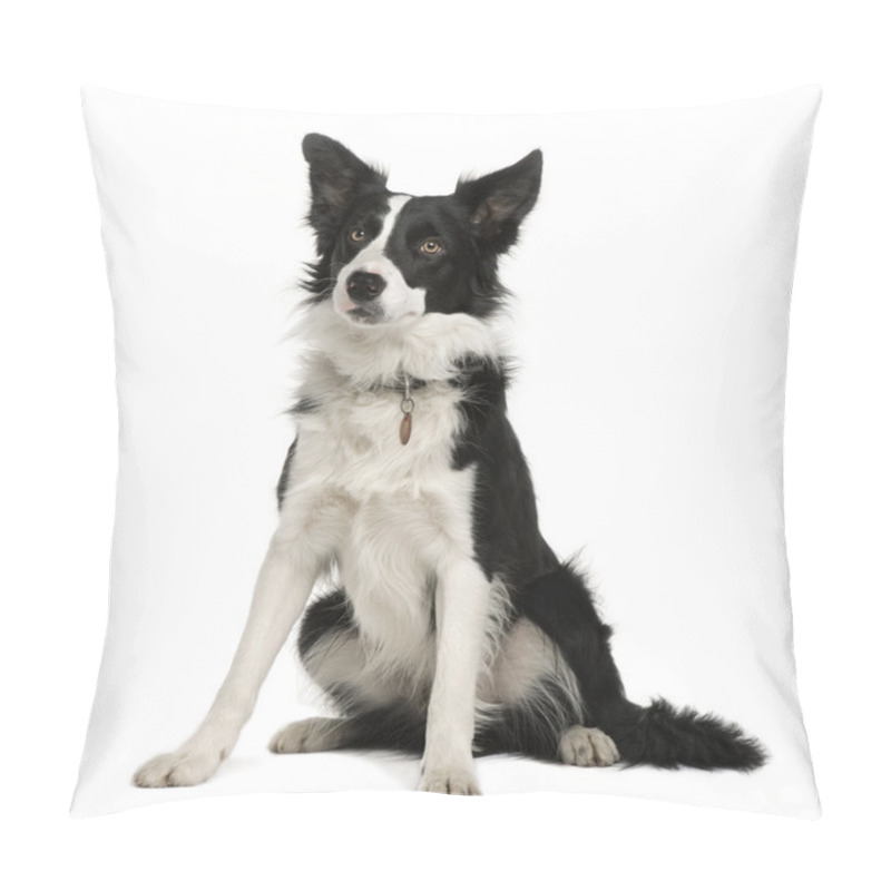 Personality  Border Collie, 1 Year Old, Sitting In Front Of White Background Pillow Covers