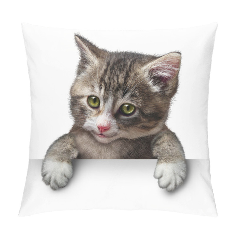 Personality  Cat Kitten Blank Sign Pillow Covers