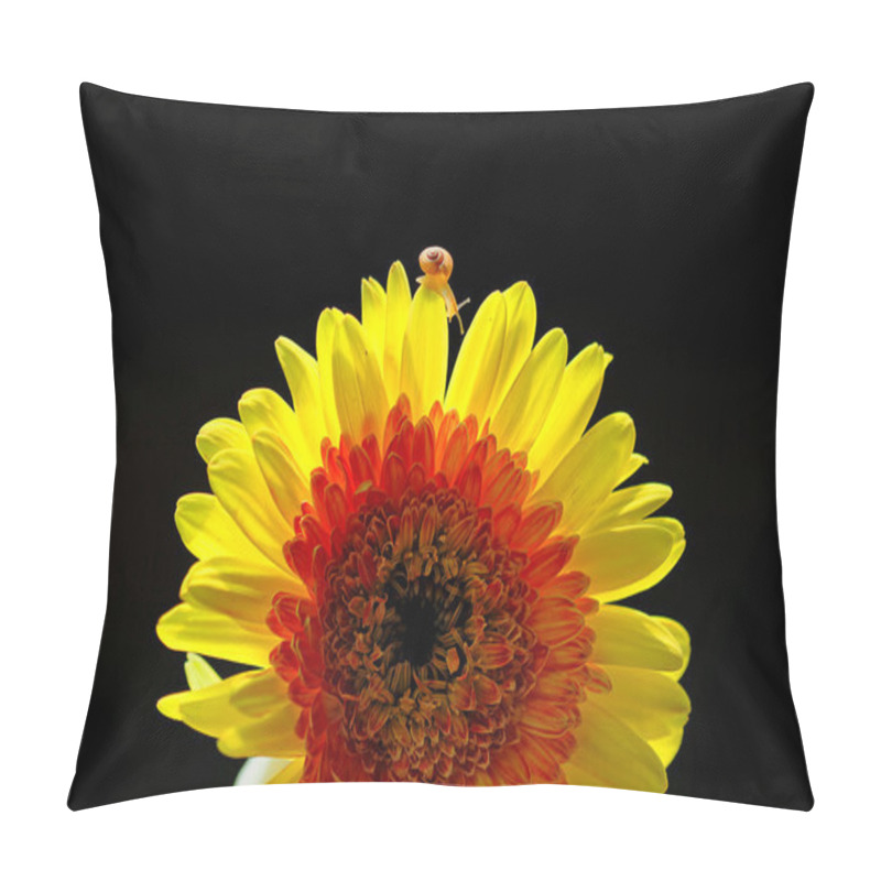 Personality  Macro Photography Pillow Covers