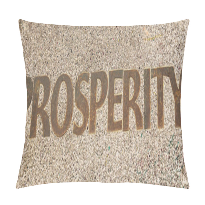 Personality  Prosperity Pillow Covers