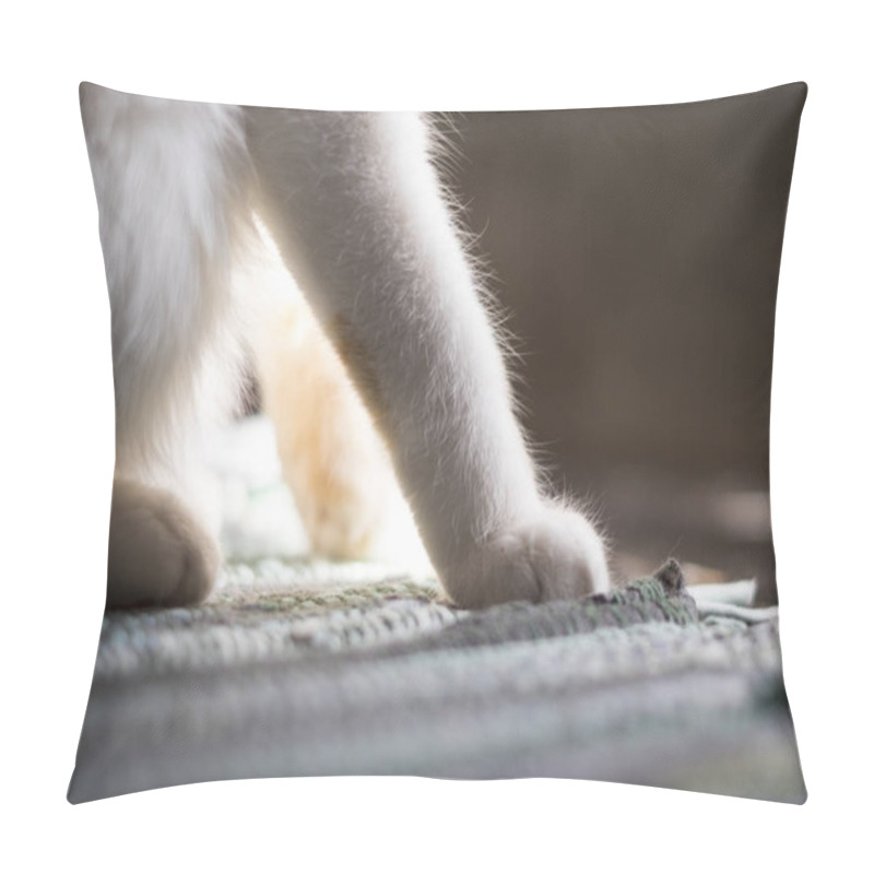 Personality  Cute Soft Cat's Paws While Sitting On The Sofa Pillow Covers