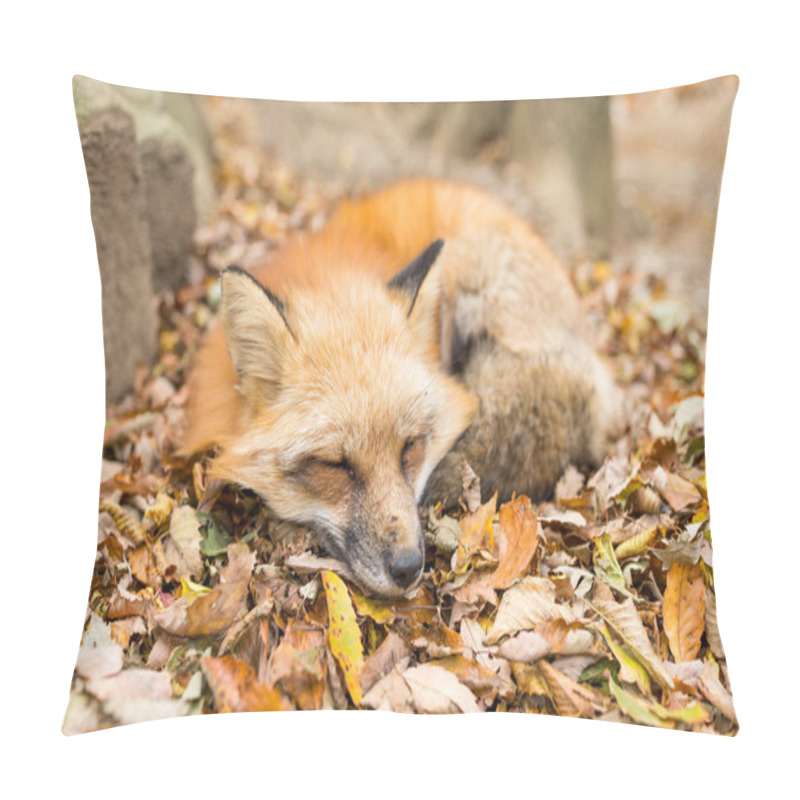 Personality  Red Fox Sleeping Pillow Covers