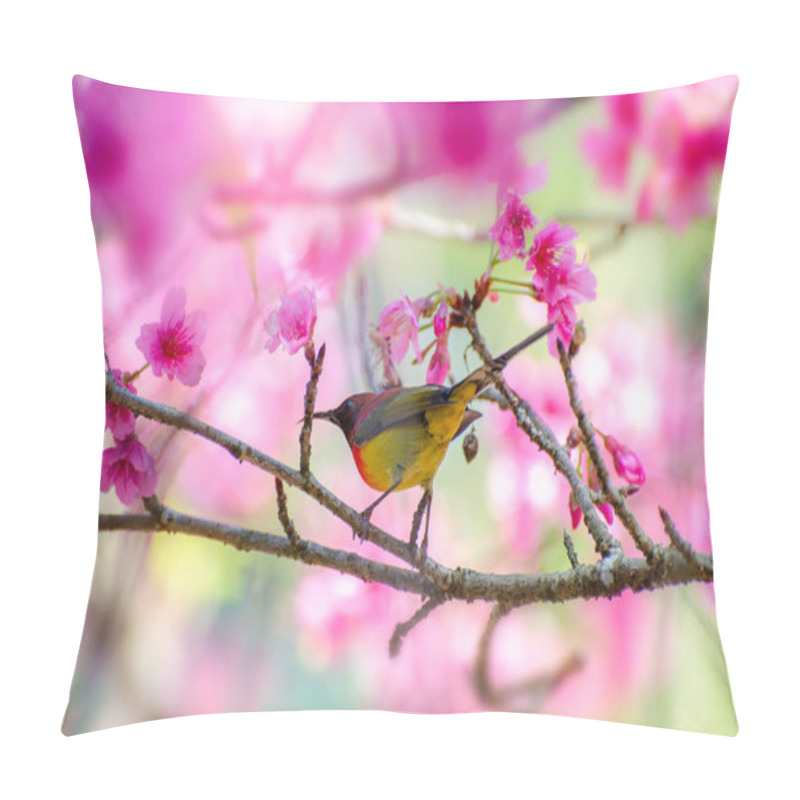 Personality  Red Bird Blue Background Perched On The Branches Sakura Pillow Covers