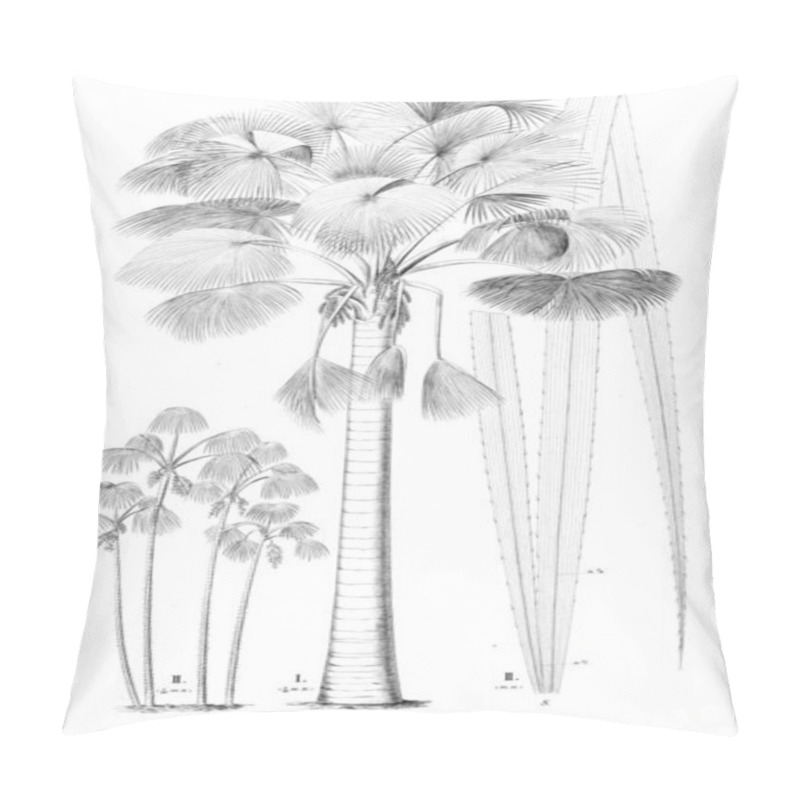 Personality  Palm Tree. Retro And Old Image Pillow Covers