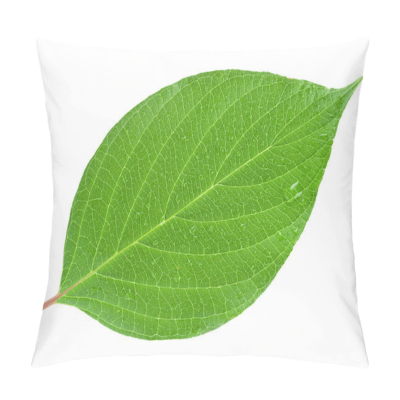 Personality  Leaf Pillow Covers