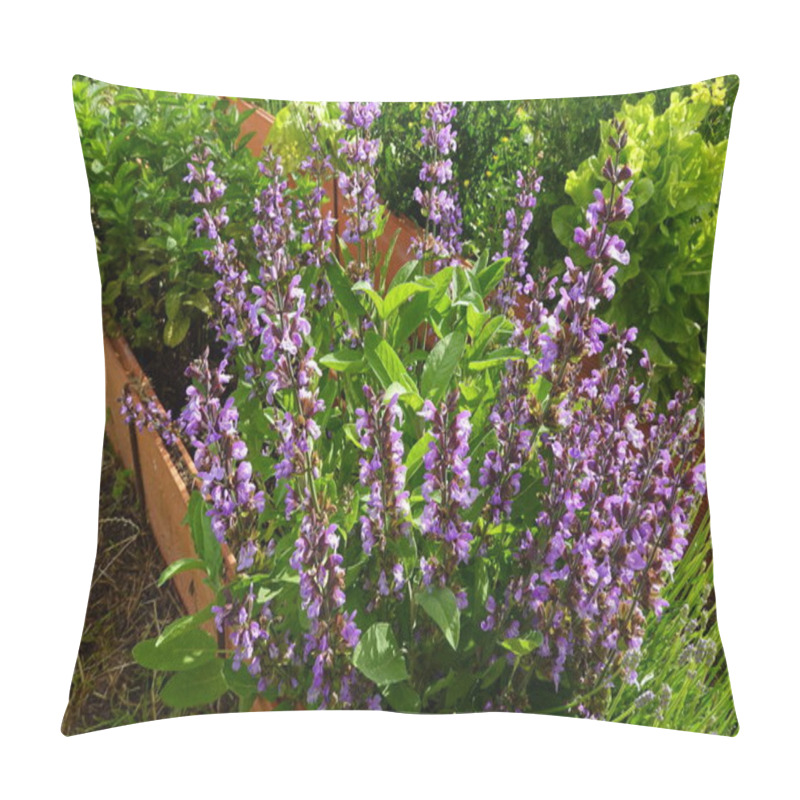 Personality  Vibrant Purple Sage Flowers Bloom Alongside Green Mint Plants In A Lush Raised Garden Bed On A Sunny Day. Pillow Covers