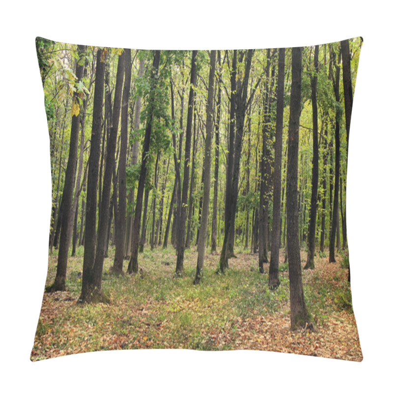 Personality  Yellow-green Autumn Oak Forest Pillow Covers